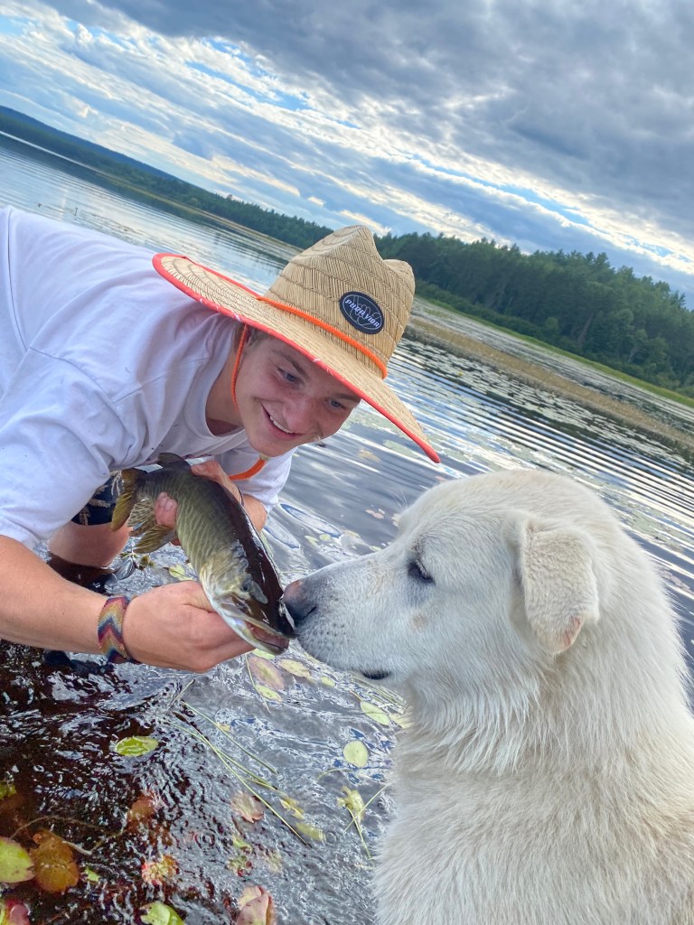 Hawkwatch dog pod thumbnail